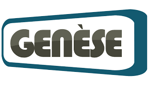Genese Solution Pvt Ltd